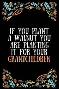 If you plant a walnut you are planting it for your grandchildren