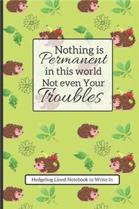 Nothing is permanent in this world, Not even Your Troubles