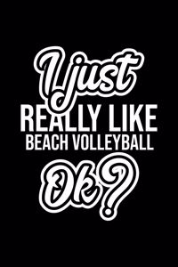 I Just Really Like Beach Volleyball Ok?