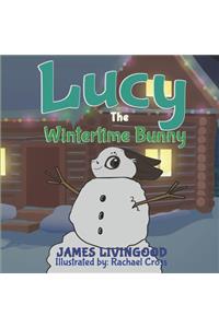 Lucy: The Wintertime Bunny