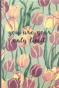You Are Your Only Limit
