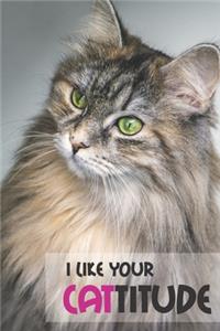 I Like Your Cattitude