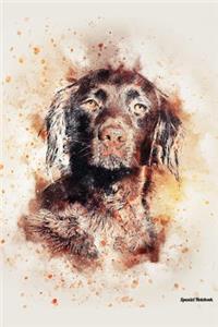 Spaniel Notebook