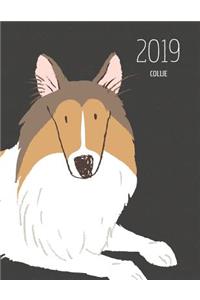 2019 Collie