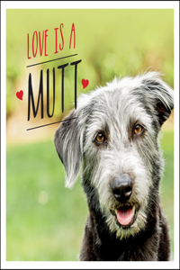 Love Is a Mutt