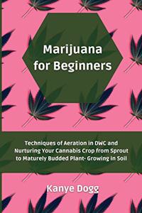 Marijuana for Beginners