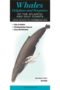 Whales, Dolphins and Porpoises of the Atlantic and Gulf Coasts