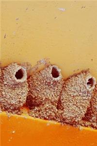 3 Bird Huts - Lined Notebook with Margins