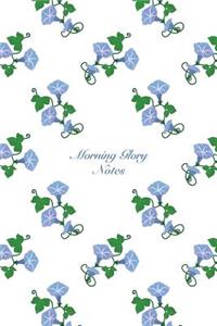 Morning Glory Notes