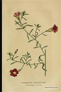 Botanical Print Journal