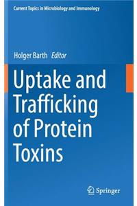 Uptake and Trafficking of Protein Toxins