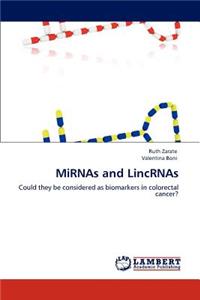 Mirnas and Lincrnas