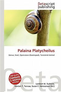 Palaina Platycheilus
