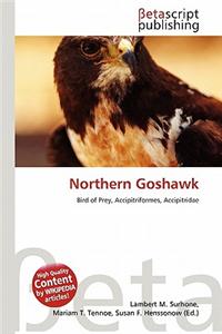 Northern Goshawk