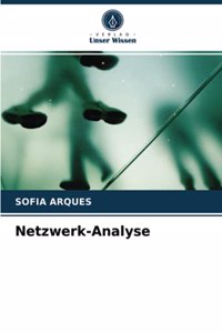 Netzwerk-Analyse