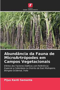 Abundância da Fauna de MicroArtrópodes em Campos Vegetacionais