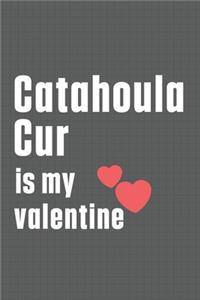 Catahoula Cur is my valentine