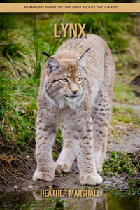 Lynx