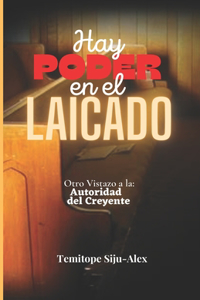 Hay Poder en el Laicado
