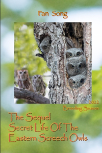 Sequel Secret Life Of The Eastern Screech Owls