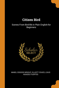 Citizen Bird