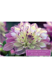 Card Box of 20 Notecards and Envelopes: Dahlia