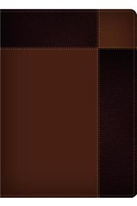 Biblia de Estudio Ryrie Ampliada