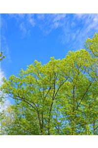School Composition Book Blue Sky Over Spring Trees