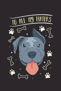 To All My Haters