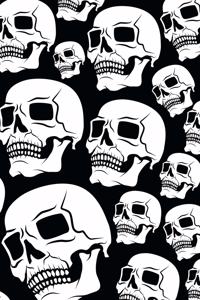 Skull Notebook