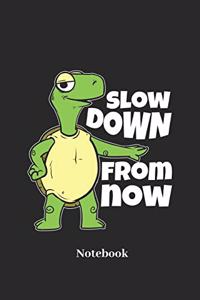 Slow Down from Now Notebook