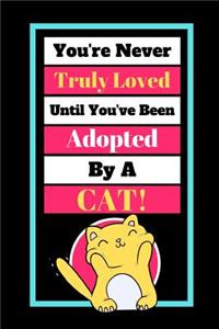 You're Never Truly Loved Until You've Been Adopted By A Cat!