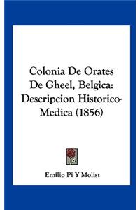 Colonia de Orates de Gheel, Belgica: Descripcion Historico-Medica (1856)