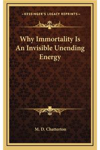 Why Immortality Is an Invisible Unending Energy