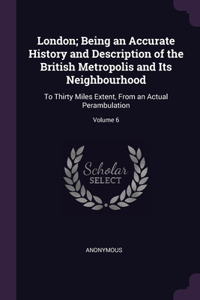London; Being an Accurate History and Description of the British Metropolis and Its Neighbourhood