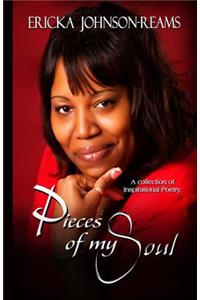 Pieces of my Soul