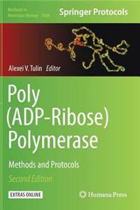 Poly(adp-Ribose) Polymerase