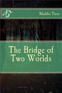Bridge of Two Worlds