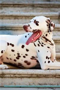 Dalmatian Affirmations Workbook Dalmatian Presents: Positive and Loving Affirmations Workbook. Includes: Mentoring Questions, Guidance, Supporting You.