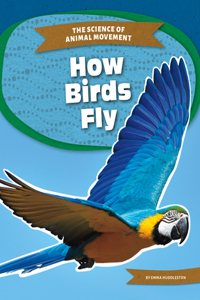 How Birds Fly