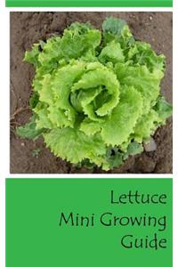 Lettuce Mini Growing Guide