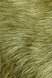 Olive Fur Journal