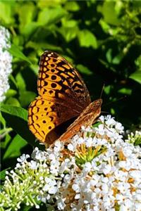 Journal Beautiful Summer Butterfly Blooming Butterfly Bush