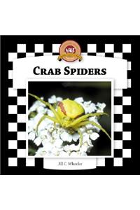 Crab Spiders