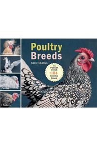 Poultry Breeds