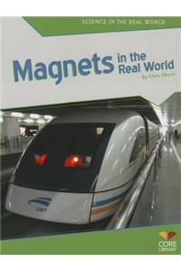 Magnets in the Real World