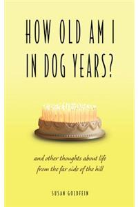 How Old Am I in Dog Years?