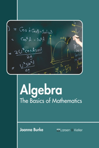 Algebra: The Basics of Mathematics