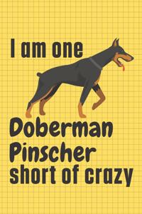 I am one Doberman Pinscher short of crazy