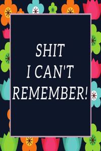 Shit I Can't Remember